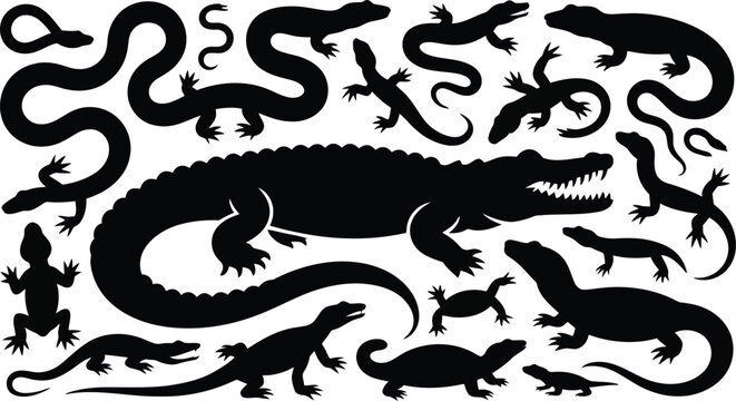 Black silhouette collection of various reptiles, lizards, and snakes