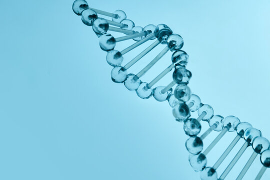 Glass dna double helix representing genetics and science