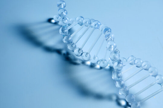 Dna double helix model representing genetic science and research