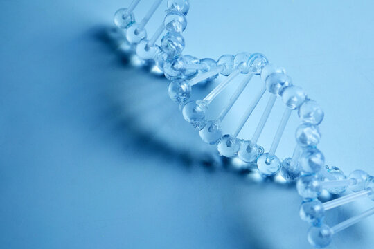 Dna helix structure model for medical research
