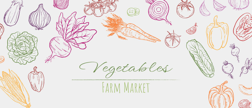 Fresh farm market vegetables frame with colorful carrots, beets, cabbage, onion, pepper, cucumber for menu or packaging design. Vector sketch charcoal drawing