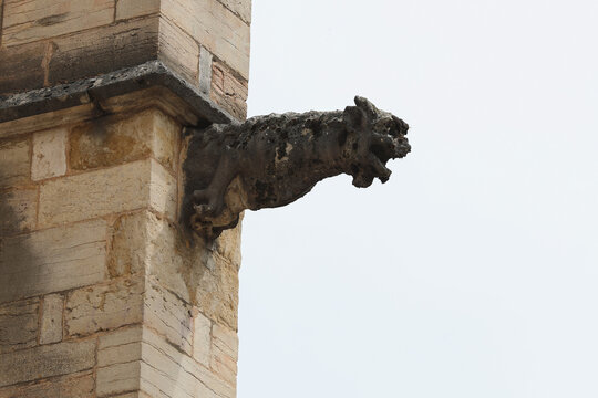 Stone gargoyle projecting from the Coll&eacute;giale Notre-Dame de Beaune in Burgundy, France, showcasing Gothic architecture and medieval craftsmanship.