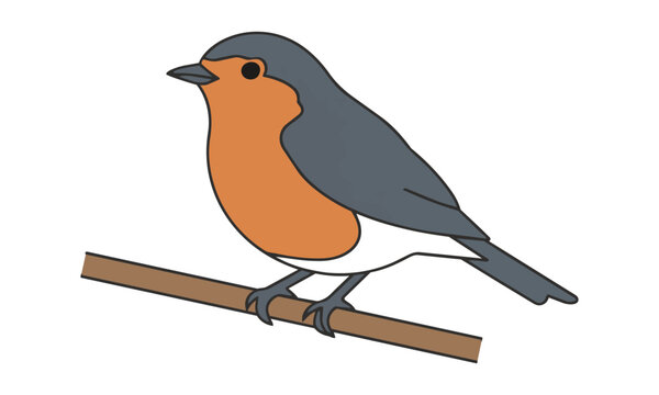 Minimalist line art of a small robin songbird perched on a slender tree branch isolated on white background, simple nature concept