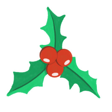Traditional christmas holly berries and green leaves decorative cartoon element isolated on a white background