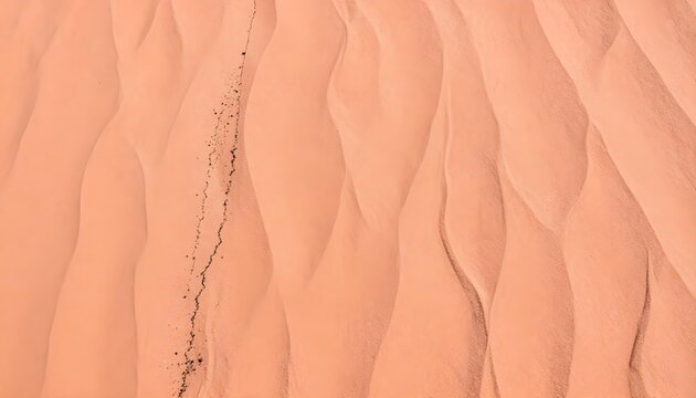 Top-down view of rippled desert sand dunes with a dark line of debris