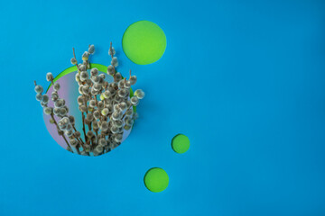 Cutout holes reveal colorful shapes that add modern visual contrast. Creative botanical still life with willow branches and paper cut circles. © lesichkadesign