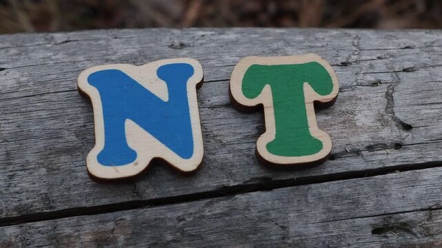 Wooden letters spelling NT on rustic wooden surface. Ideal for educational content, creative projects, or simple visual representations.