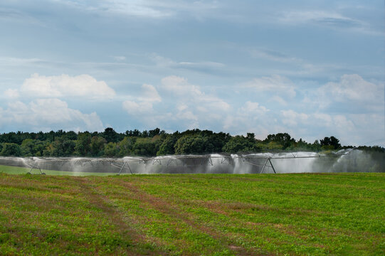 Irrigation Sprinklers Water Rural Farm Field