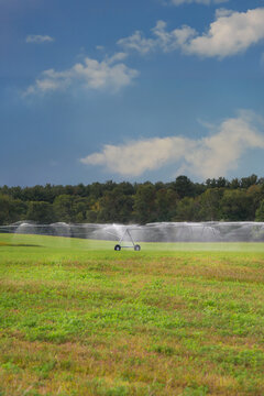 Irrigation Sprinklers in Farmfield