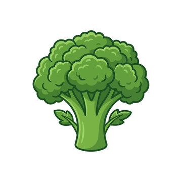 Fresh Broccoli Cartoon Vector Illustration