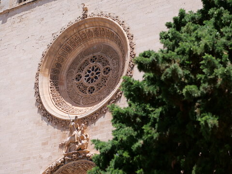 Historic Church Rose Window Framed by Green Tree