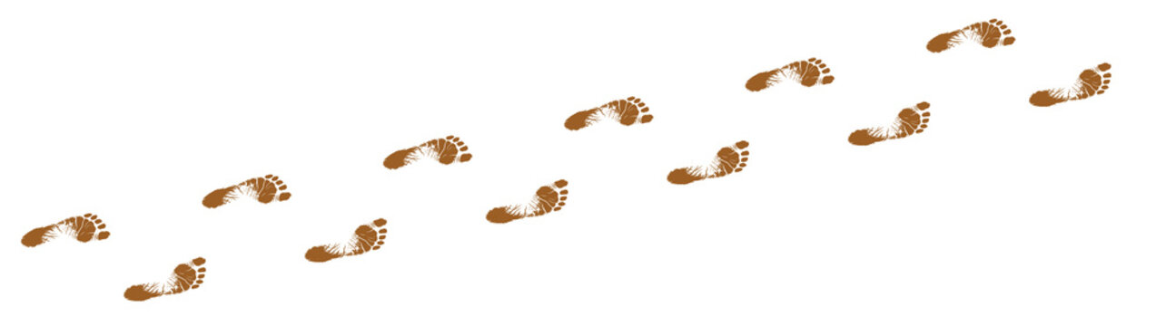 Human footprints tracking path with transparent backgroung	
