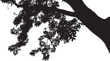 Black Tree Branch Leaves Silhouette Overlay Frame: Natural Forest Tree Trunk Border PNG Element on Transparent Background for Nature Graphics, Card Design and Photo Editing Asset © Mizbamotion