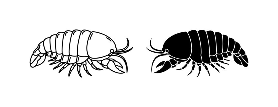 Isopod Vector Icons, Woodlouse Silhouette, Crustacean Line Art, Invertebrate Graphics