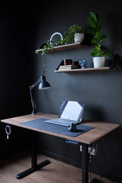 Modern home office with laptop on wooden desk, floating shelves, and houseplants