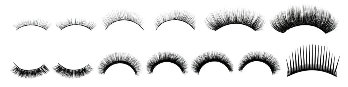 False eyelashes collection set. Beauty catalog of various fake lash styles for makeup.