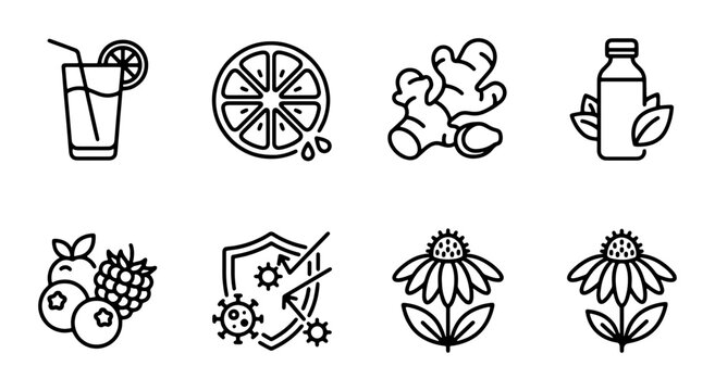 Immunity Boost Icons: Ginger, Citrus, Berries, Echinacea, Health Drink