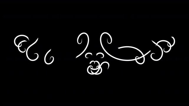 decorative floral vine flourish white outline regal laurel vector shape ornamental decoration graphic that slowly grows on screen isolated design embellishment element transparent alpha background 4K