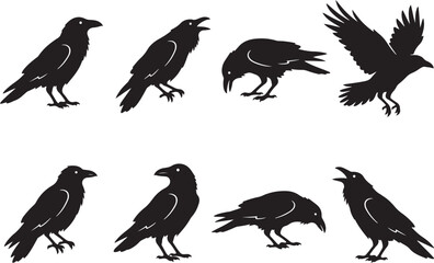 Obraz premium Detailed set of eight black raven and crow silhouettes in various poses including flying, perched, and calling, perfect for dark gothic Halloween themes.