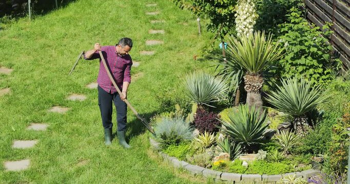 Gardener designing a Mediterranean garden with Yuccas and cacti