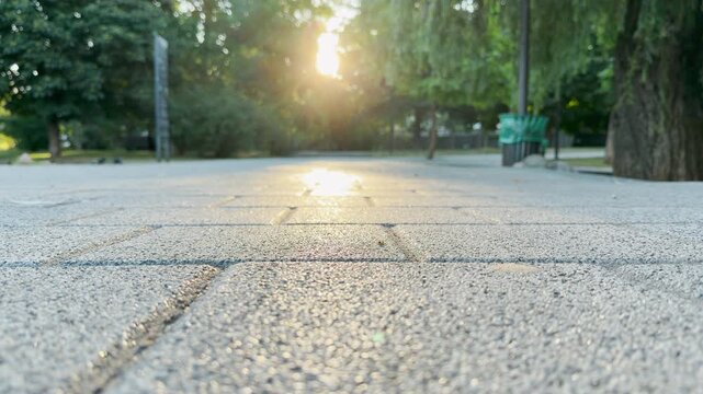 The warm morning sun shines beautifully on a paved walkway in a quiet park in Simferopol, Crimea. This serene landscape brings a deeply peaceful and hopeful feeling.