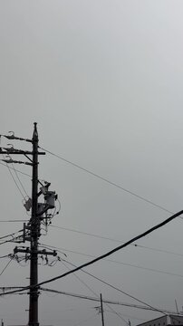 雷と電線