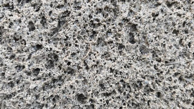 Detailed porous coastal rock surface displaying natural weathering, rugged texture, and marine erosion under daylight conditions.