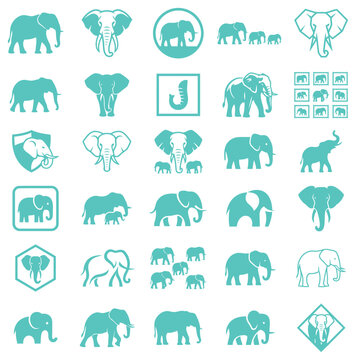 Comprehensive collection of elephant icons and logo elements in a flat professional graphic design style