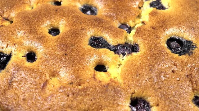 Freshly baked pie with fresh blueberries, top view, background