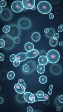 Cell Division Mitosis Microscope Biology Science Motion Background Seamless Loop in rich cyan tones vertical 9:16