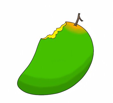 Fresh green mango with a bite mark showing yellow flesh vector illustration