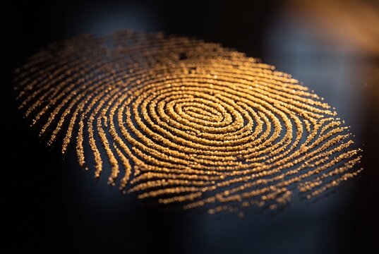 Glowing golden fingerprint pattern formed with shiny gold glitter particles on a dark glossy surface, representing digital security, identity, and biometric concept