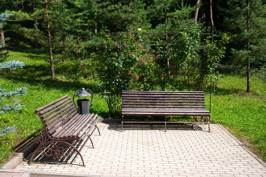 Two empty wooden benches on a paved patio in a green park. Outdoor public seating area with a flower trellis. Summer garden landscape