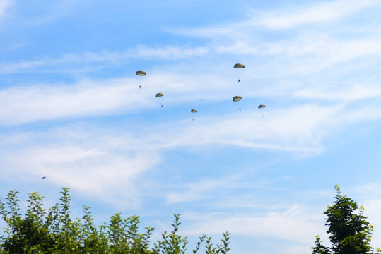 Group of paratroopers descending with green parachutes against a blue sky. Military airborne training exercise. Copy space for text