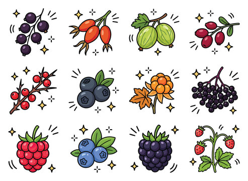 Assorted fresh berries and fruits like blueberries while raspberries and strawberries glisten with happiness