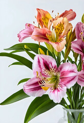 Obraz premium Pink and orange alstroemeria flowers with green leaves in a glass vase, isolated on a white background, the floral bouquet is isolated on a clean white background