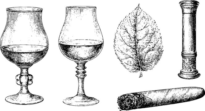 Two vintage brandy snifters cognac glasses cigar leaf and tube line art for label and packaging design and background use