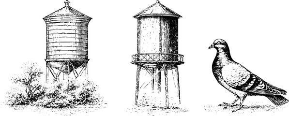 Obraz premium Rooftop water towers and city pigeon vintage engraving set for urban background banner and architectural design resources