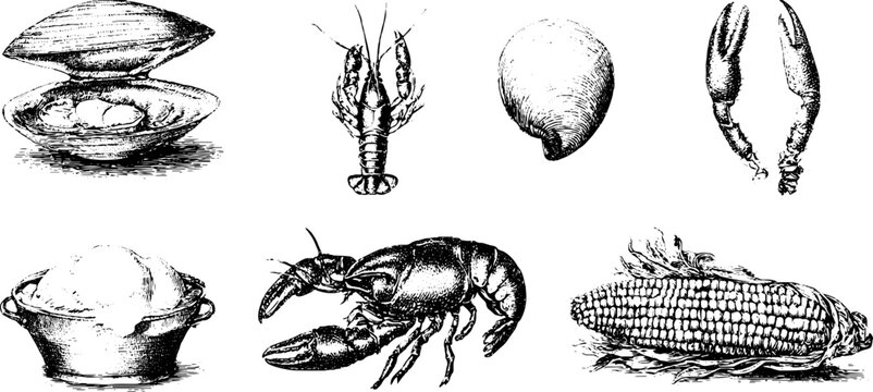 Vintage engraved seafood icons with lobster claws crab shell butter bowl and corn cob for menu labels packaging and coastal design elements