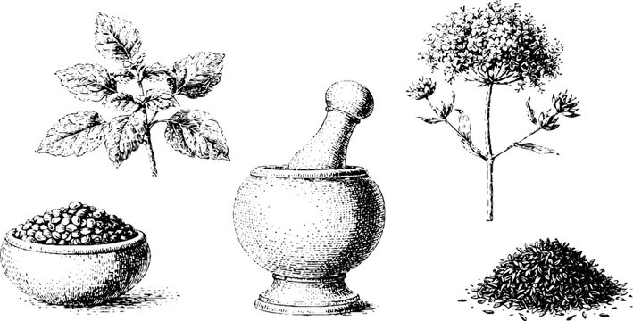Mortar and pestle spice composition with basil leaves bowl of lentils and cumin seeds for packaging label and kitchen background design