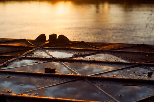 Close-up of a weathered metal pontoon dock surface reflecting glowing golden sunset light over calm river waters, detailed triangular structural pattern and moist textures at dusk