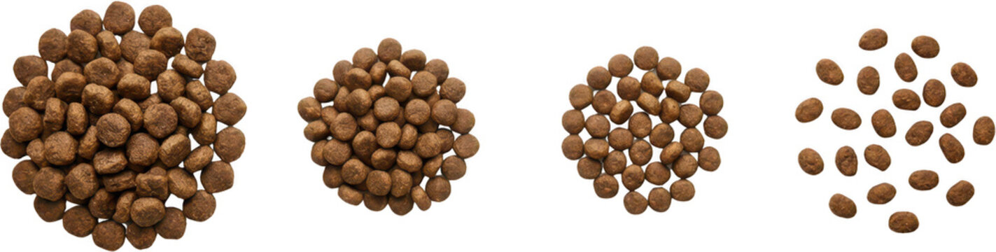 Four distinct circular arrangements of dry pet food kibble showcasing varying quantities and sizes of brown textured pellets 179 characters dog food cat food dry food animal food