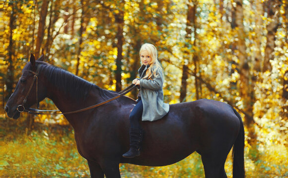 Teenager girl kid sitting on horse walking in summer forest, horseback riding