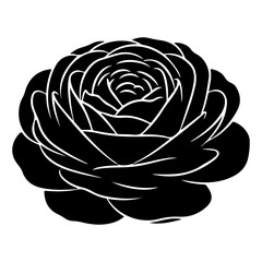 Obraz premium Elegant Black and White Rose Illustration for Design.