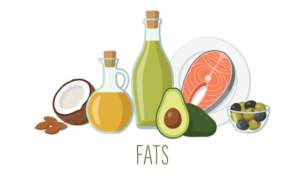 Healthy fats vector illustration with source foods including olive oil salmon avocado coconut almonds and olives