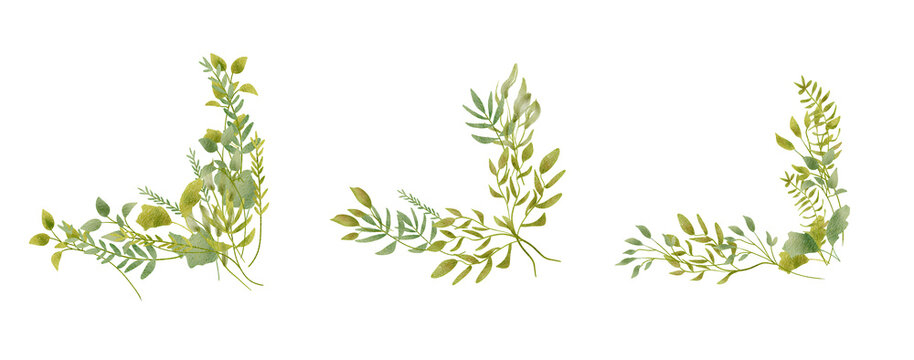 Delicate Green Sprigs Arranged on White Background
