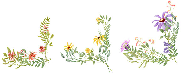 Obraz premium Colorful Spring Floral Border on Transparent Background