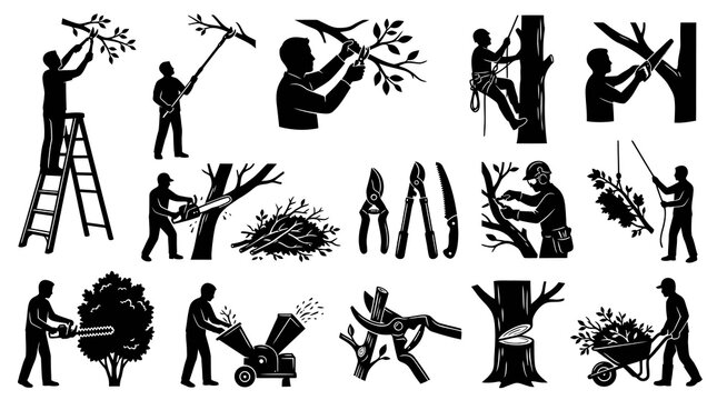 Arboriculture  Landscaping: Tree Trimming and Pruning Glyph Icons Set - Black and White Silhouettes