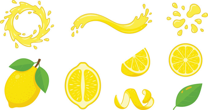 Fresh Lemon Fruit Vector Graphic Element Set Featuring Whole Citrus Halves Slices Squeezed Juice Splashes Waves Drops Zest and Green Leaves