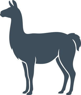 Silhouette of a llama standing, a vector graphic illustration